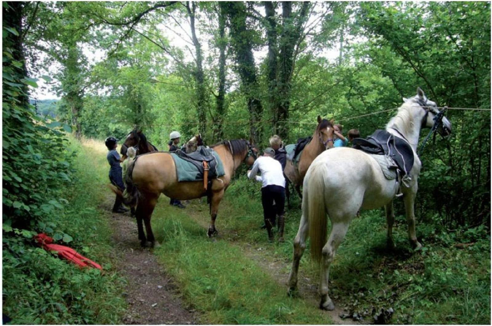 La Mancine Laulan Bed & Breakfast Jau-Dignac-et-Loirac Luaran gambar